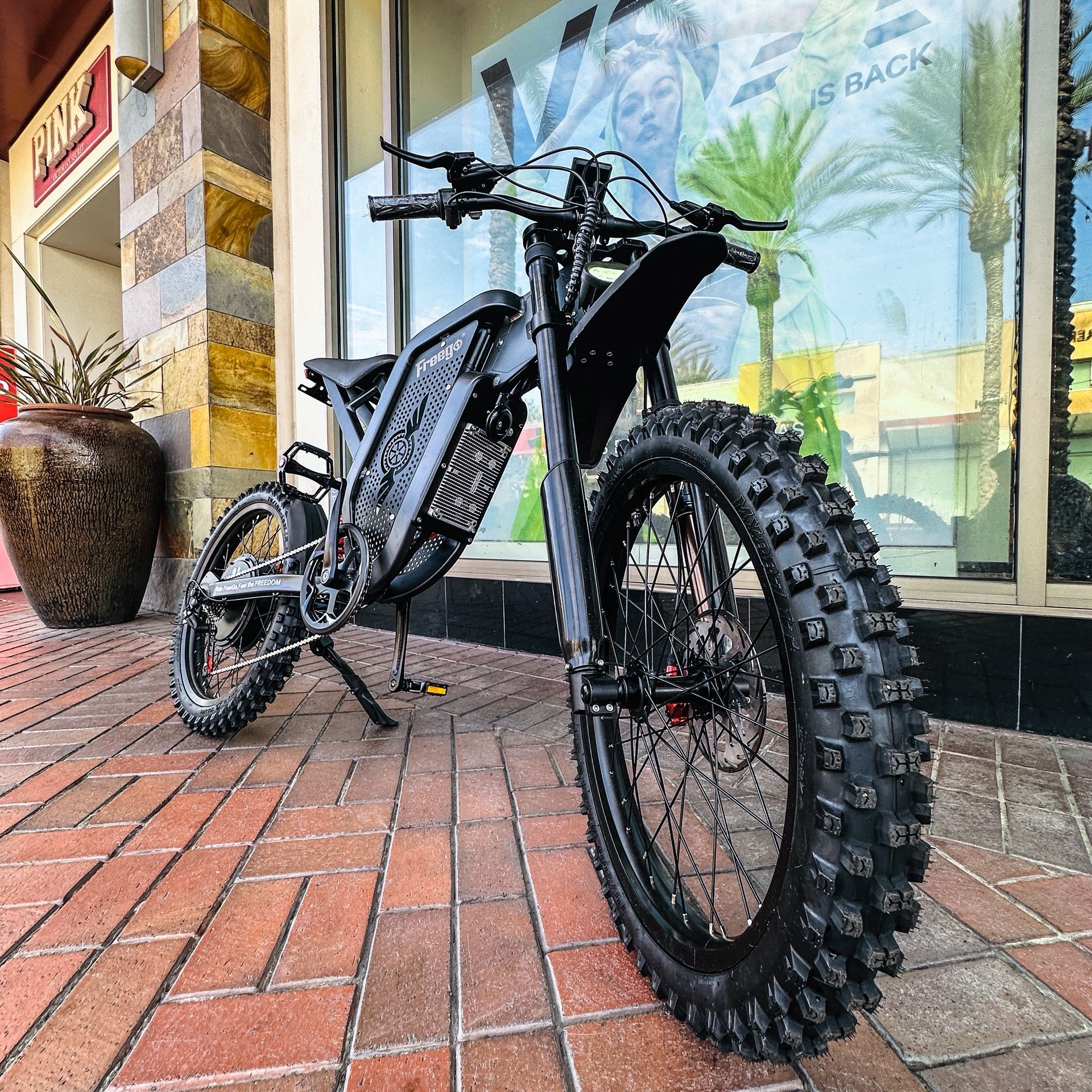 Electric Bike