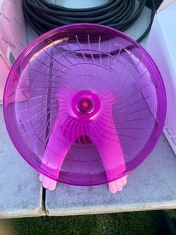 HAMSTER RUN DISC