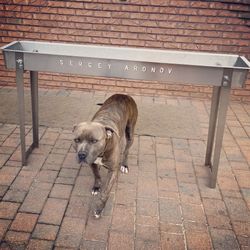 BBQ Grills Engraved ( Gift Set )