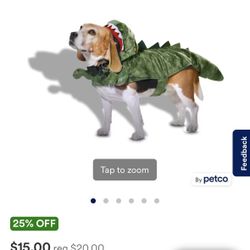 Dino Pet Costume 