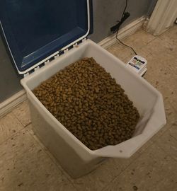 Cat food and  stuff