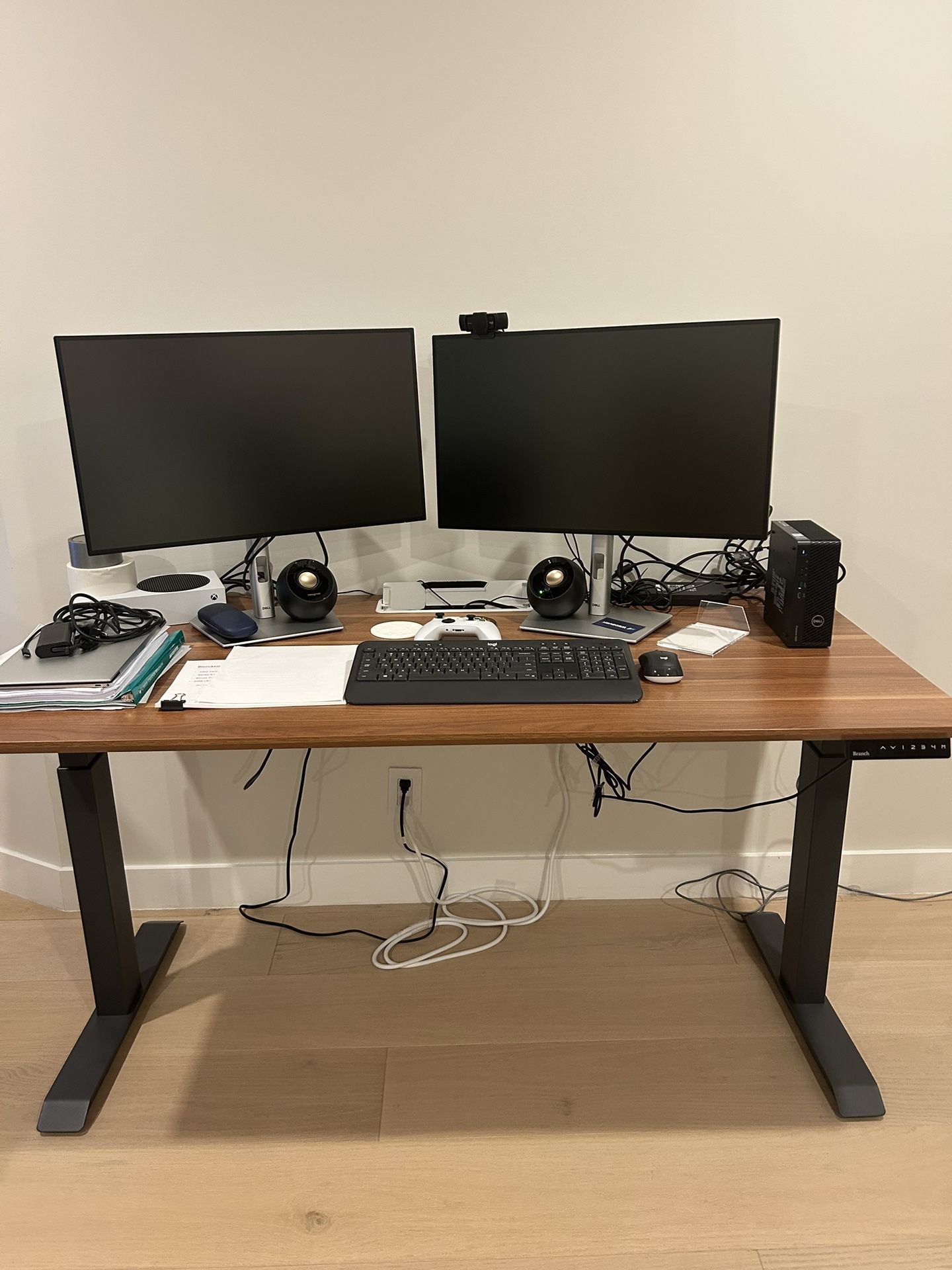 Branch Standing Desk