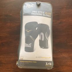 Everlast Boxing Gloves