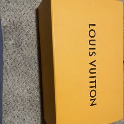 Louis Vuitton Black and Brown Passager Sandals