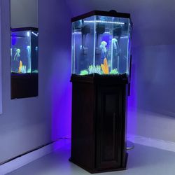 25-30 Gallon Hexagonal Aquarium
