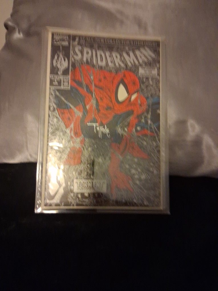 Torment / Spider Man