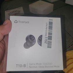 True Wireless Earbuds 