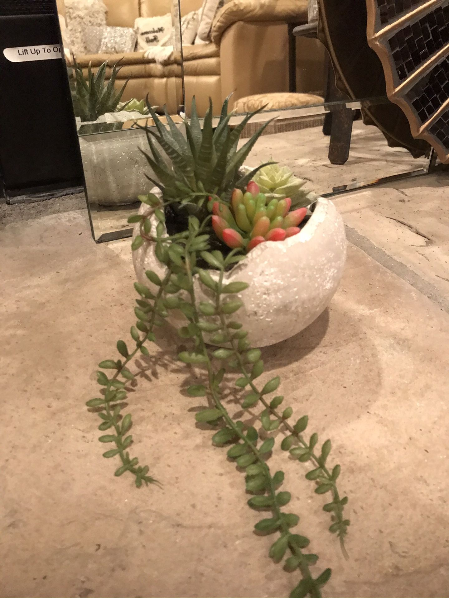 NEW with $16.99 price tag - Artificial succulent garden. 5 inch