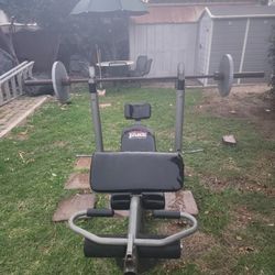 Weight Bench 