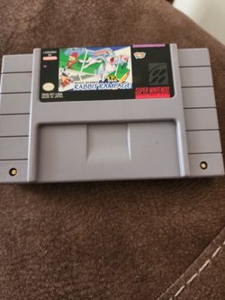 Rabbit ram page for the super nintendo