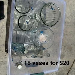 Glass Vases and Bottles
