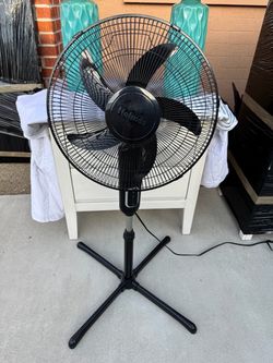 Holmes Black Pedestal Standing Fan
