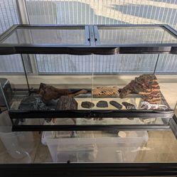 Large Tank For Reptiles $125