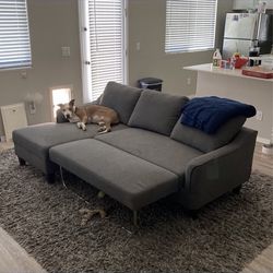 Couch And Rug For Sale( Futon)