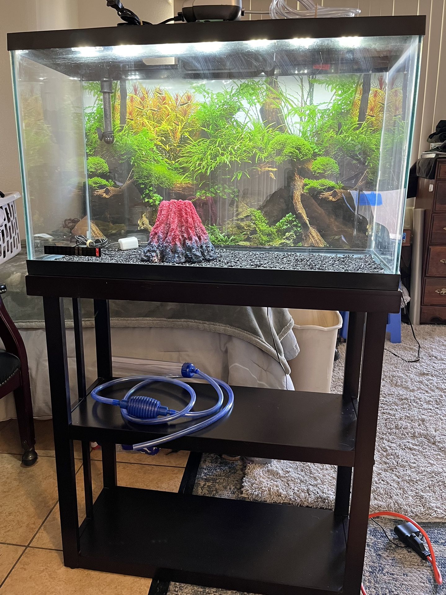 30 Gallon Fresh Water Fish Tank With Stand And All Necessities