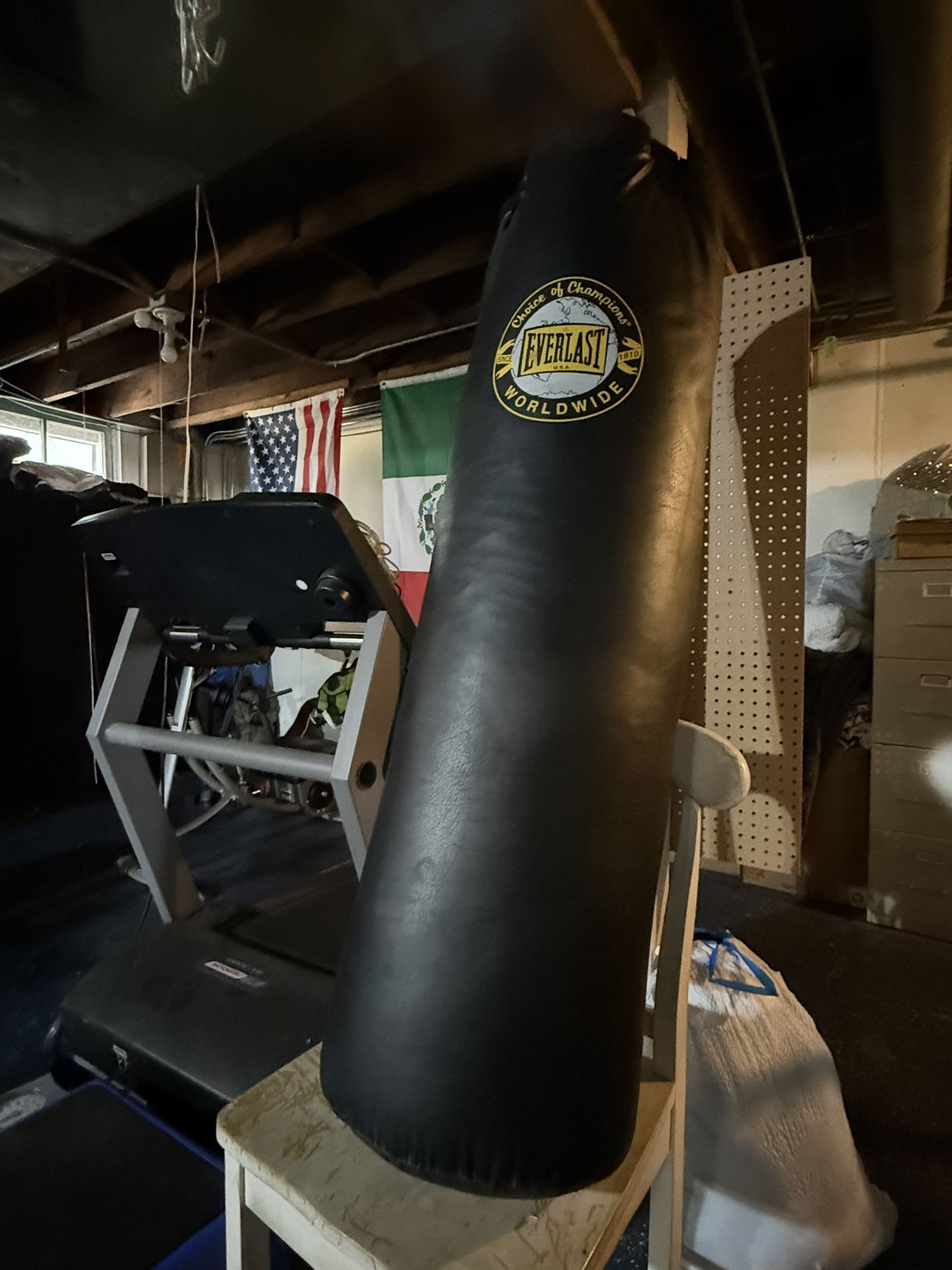 Everlast Leather Heavy 100lb punching bag