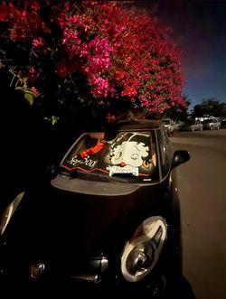 Black Fiat European car