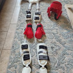 Taekwondo Sparring Gear