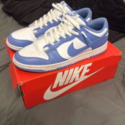 Nike Dunks Light Blue Size 13