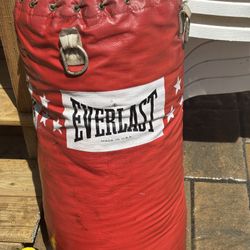 Everlast Boxing Bag