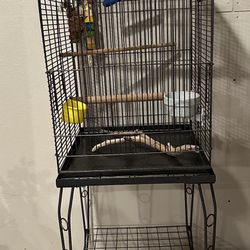 Bird Cage, Backpack and Toys