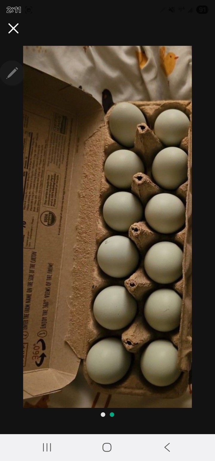 Organic Eggs