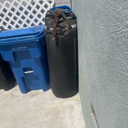 UFC punching bag 8/10 condition