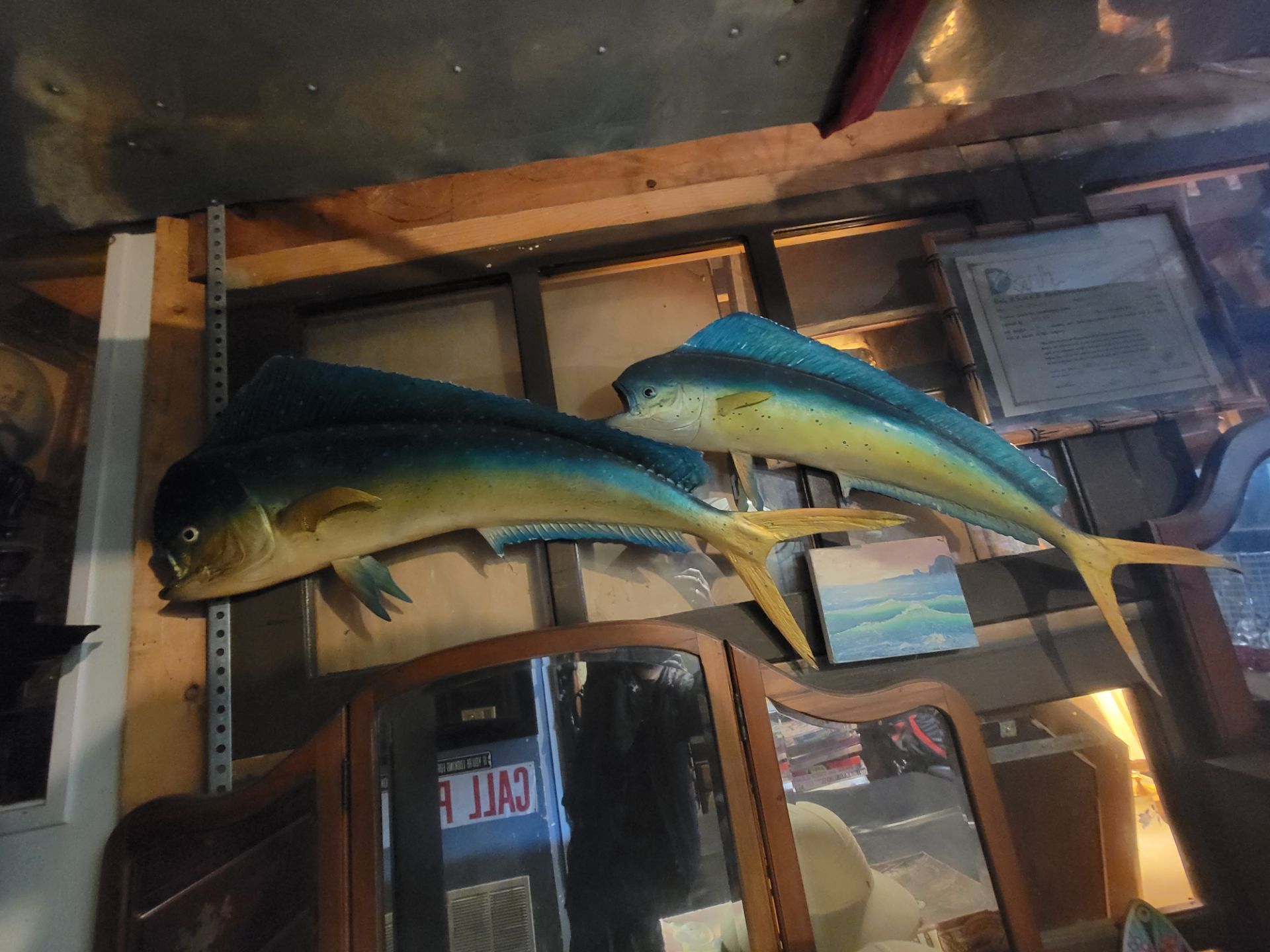 Decorative fishes