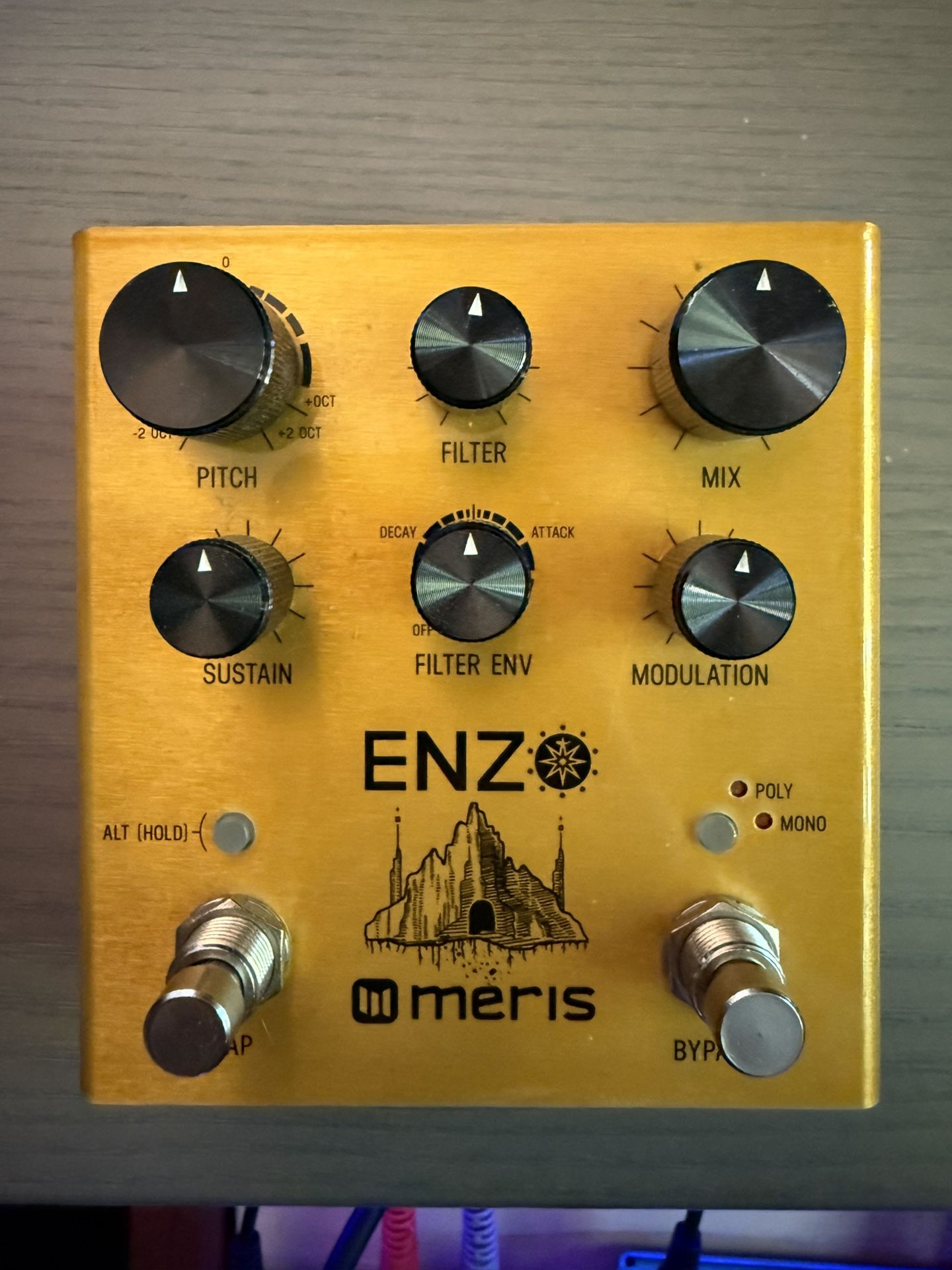 Meris Enzo Guitar Pedal