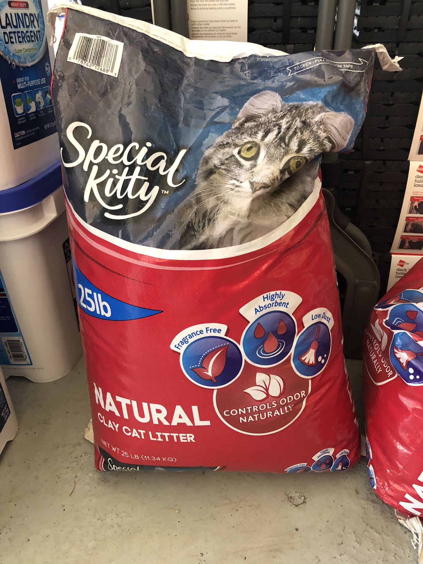 Cat Litter