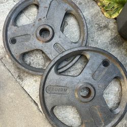 45lb Olympic Weight Plates