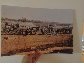 Historic photo print 12x18 of Colorado cowboys 1880s
