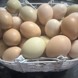 Free Range Chicken Eggs 