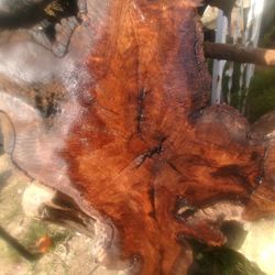 15 Bowl Blanks For $150. Cedar, MESQUITE, ASH, OAK, PECAN available