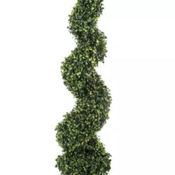 Boxwood Spiral Topiary
