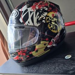 Arai Helmet