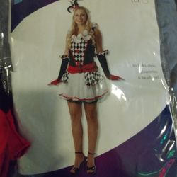 Harlequin Honey Costume (Adult)