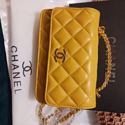 CC purse Brad New