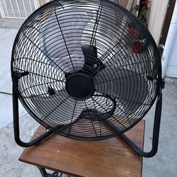 Fan