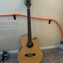 Acoustic/Electric Guitar