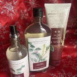 Bath and Bodyworks tea tree and peppermint aromatherapy set