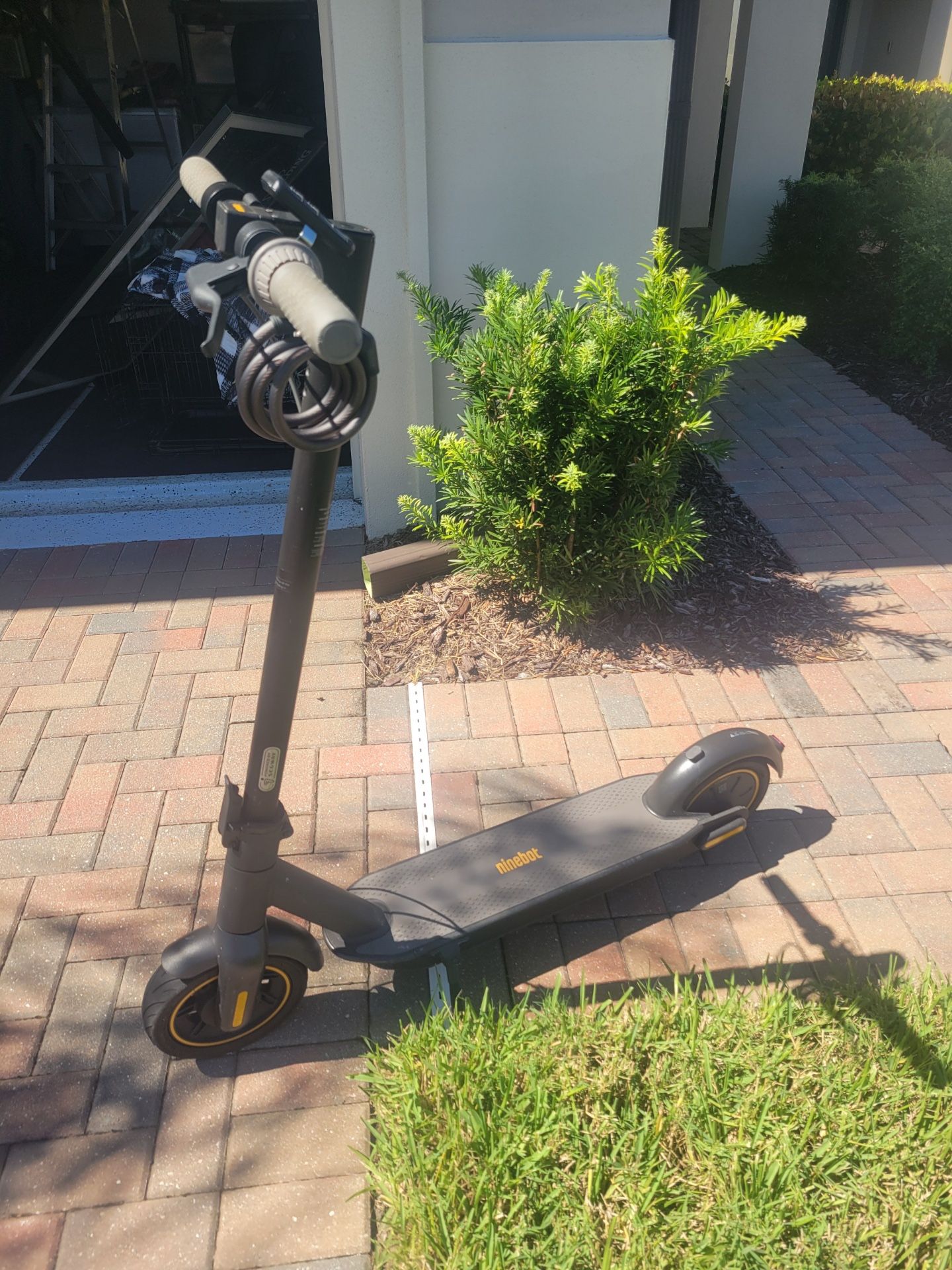 Ninebot G30 Electric Scooter 