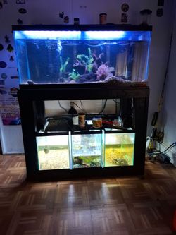 Fish tank and stand