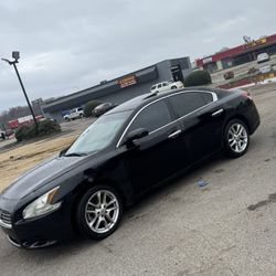 2011 Maxima