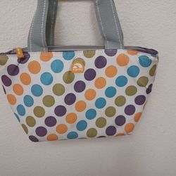 Igloo Insulated Hot/Cold Food Carry Bag