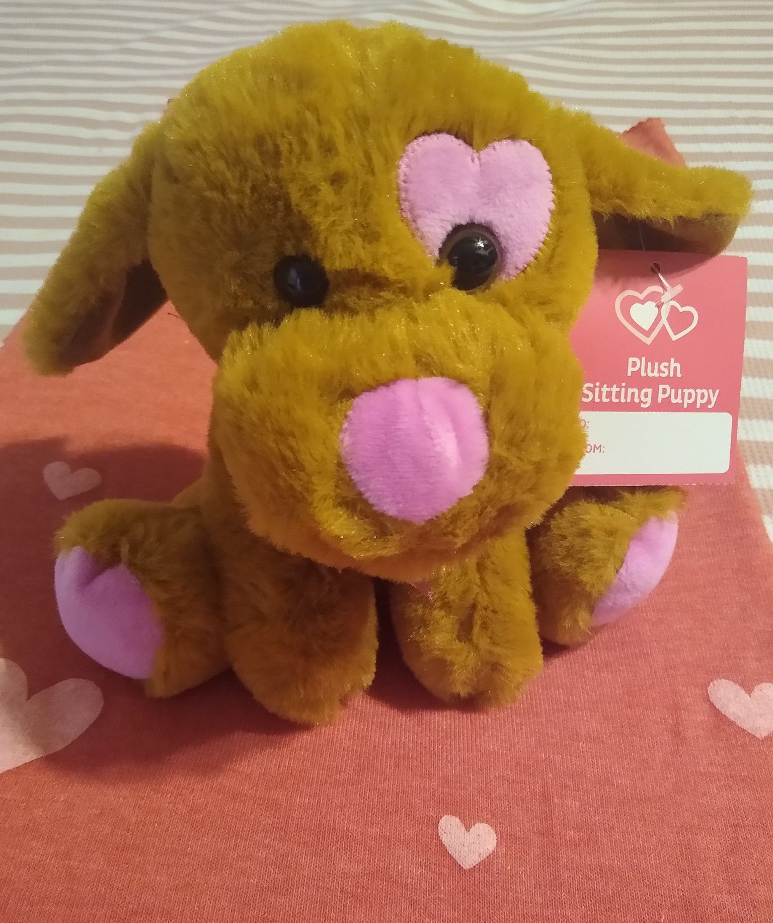 Valentine's Teddy Bears/ Osos De Peluche De San Valentín