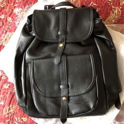 Purse Back back