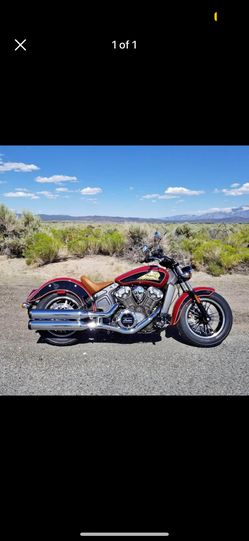 2019 Indian Scout