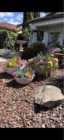 Pots