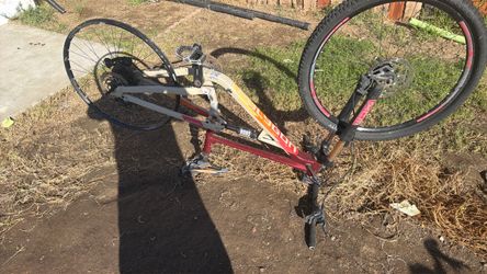 Bike polygon